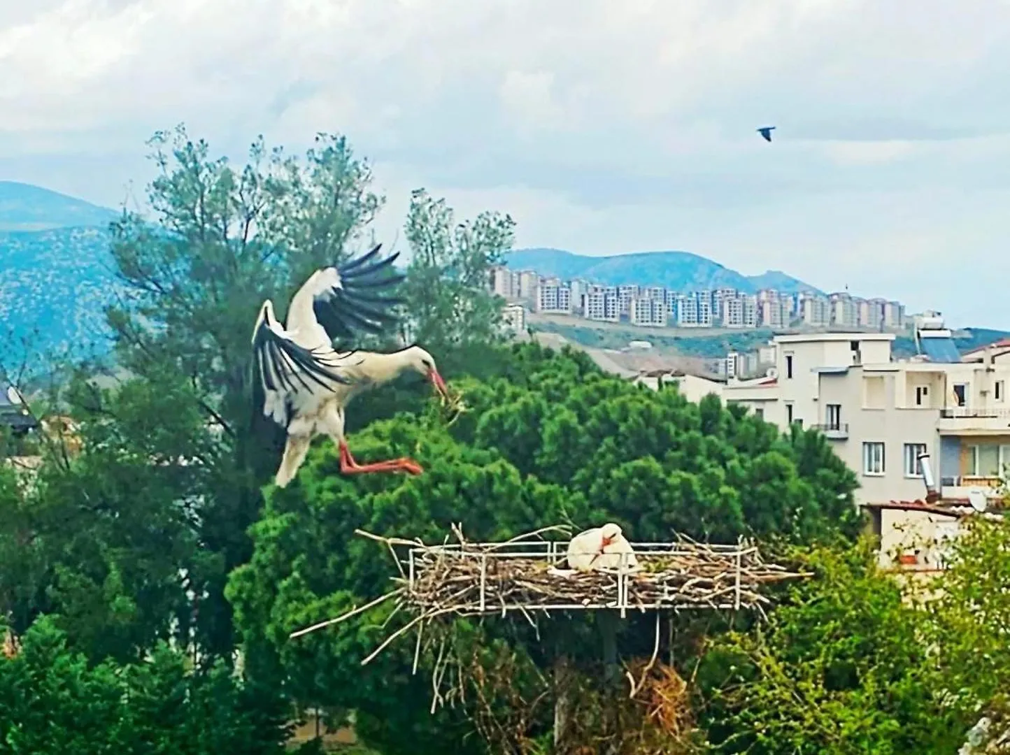 Saint Johns Hill Boutique Ephesus Διαμέρισμα Σελτσούκ 0*,  Τουρκία